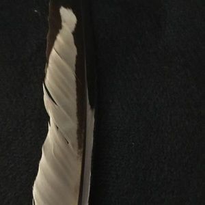 Meet your Posher, Ronna